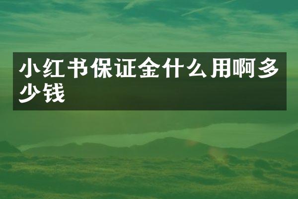 小红书保证金什么用啊多少钱