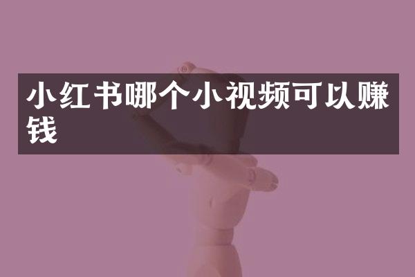 小红书哪个小视频可以赚钱