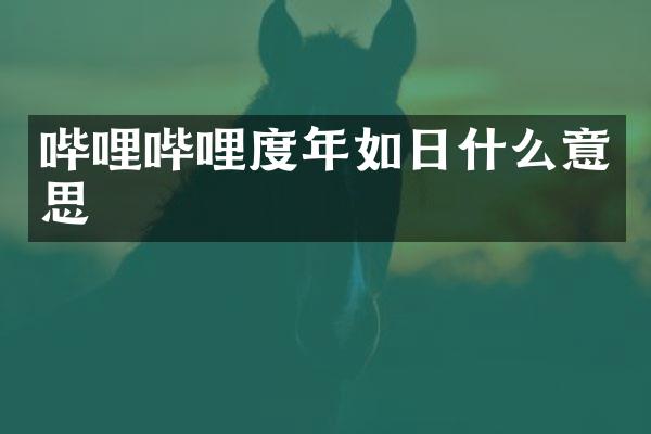 哔哩哔哩度年如日什么意思