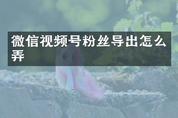 微信视频号粉丝导出怎么弄