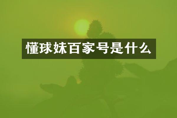 懂球妹百家号是什么