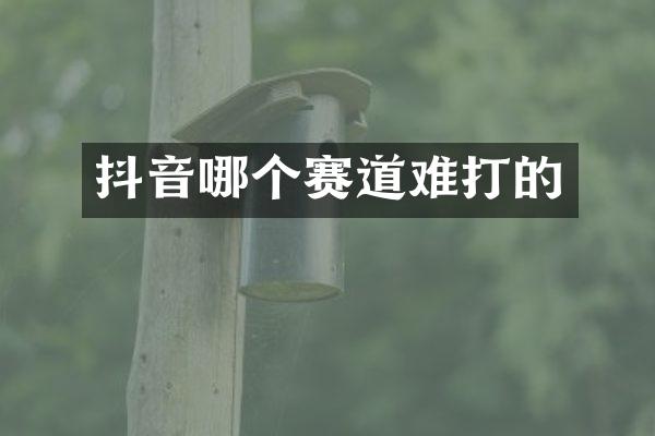 抖音哪个赛道难打的