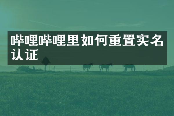 哔哩哔哩里如何重置实名认证
