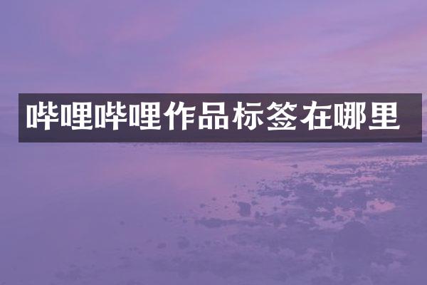 哔哩哔哩作品标签在哪里