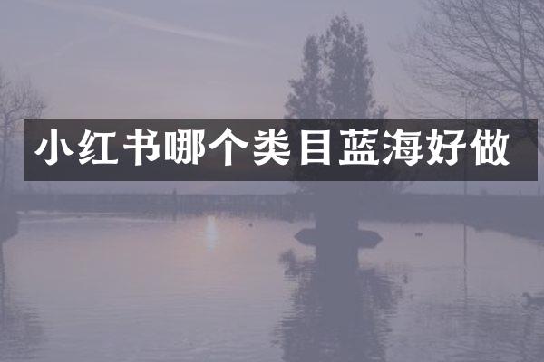 小红书哪个类目蓝海好做