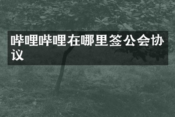 哔哩哔哩在哪里签公会协议