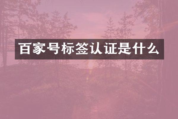 百家号标签认证是什么
