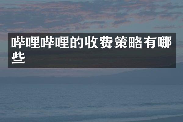 哔哩哔哩的收费策略有哪些