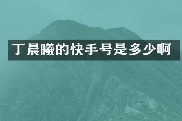 丁晨曦的快手号是多少啊