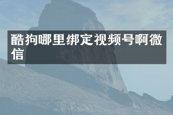 酷狗哪里绑定视频号啊微信