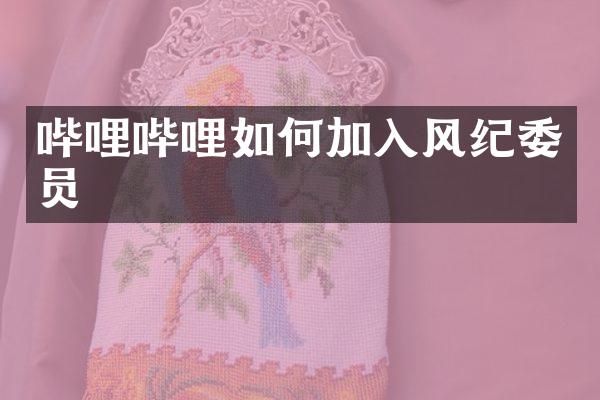 哔哩哔哩如何加入风纪委员