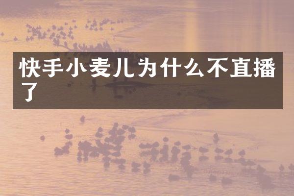 快手小麦儿为什么不直播了
