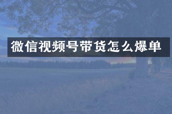 微信视频号带货怎么爆单