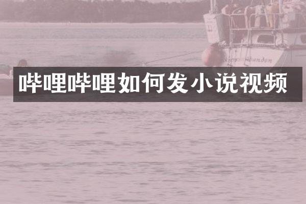 哔哩哔哩如何发小说视频