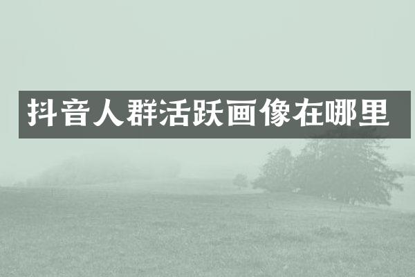 抖音人群活跃画像在哪里