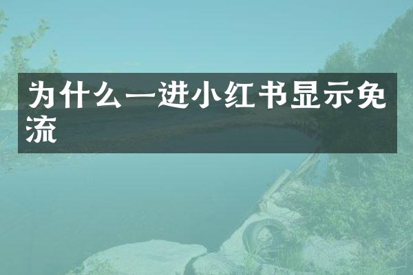 为什么一进小红书显示免流