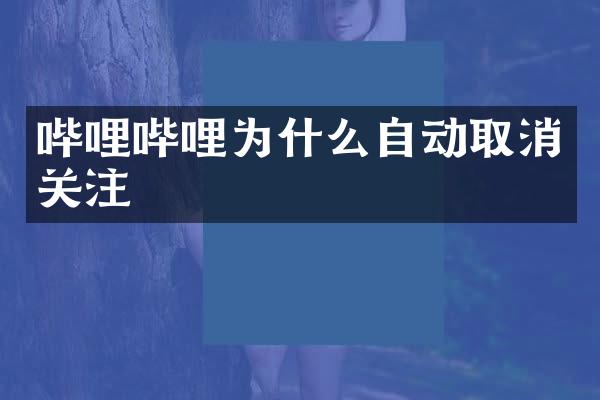 哔哩哔哩为什么自动取消关注