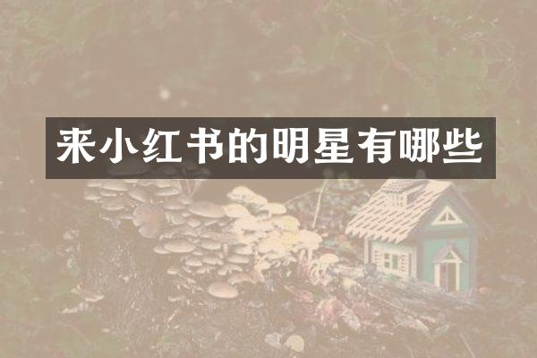 来小红书的明星有哪些