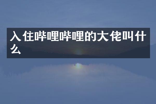 入住哔哩哔哩的大佬叫什么