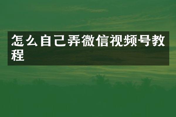 怎么自己弄微信视频号教程
