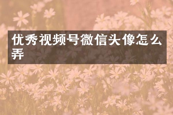 优秀视频号微信头像怎么弄