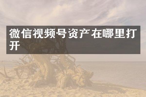 微信视频号资产在哪里打开