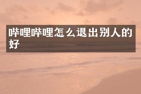 哔哩哔哩怎么退出别人的好