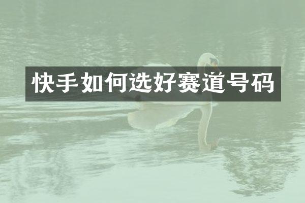 快手如何选好赛道号码