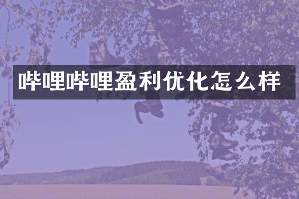 哔哩哔哩盈利优化怎么样