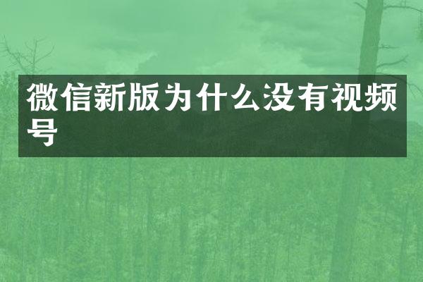 微信新版为什么没有视频号
