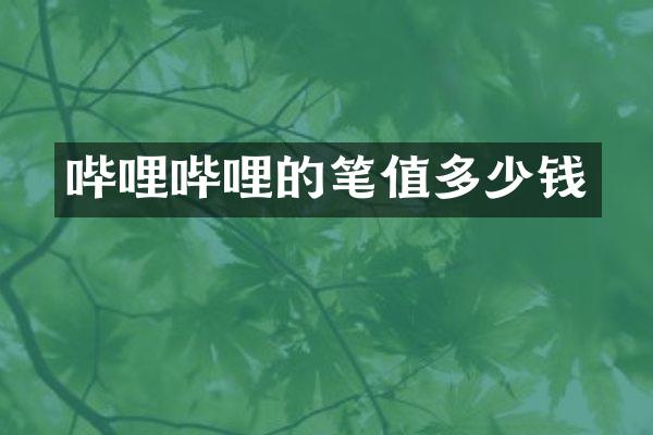 哔哩哔哩的笔值多少钱