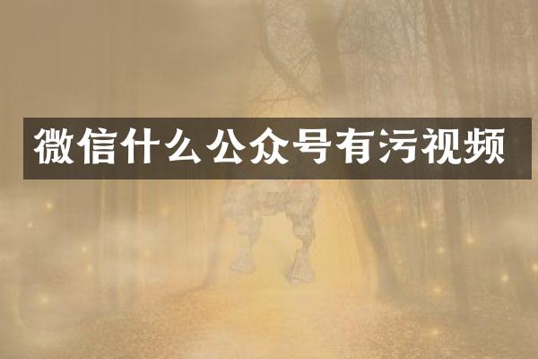 微信什么公众号有污视频