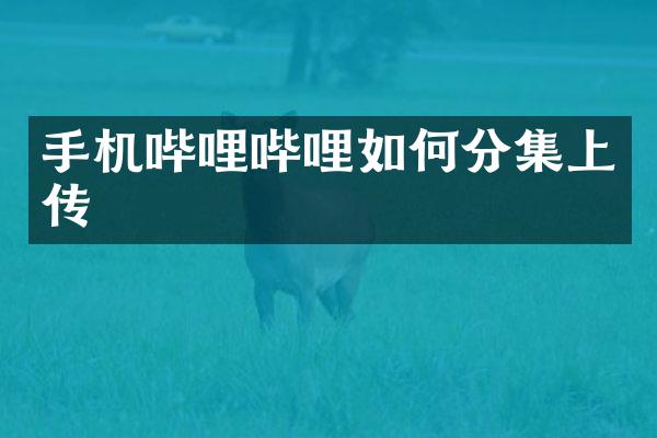 手机哔哩哔哩如何分集上传