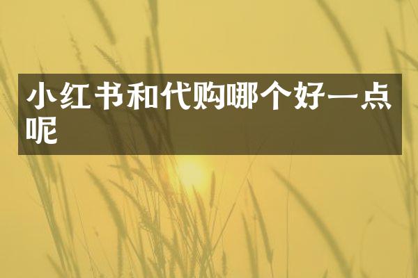 小红书和代购哪个好一点呢