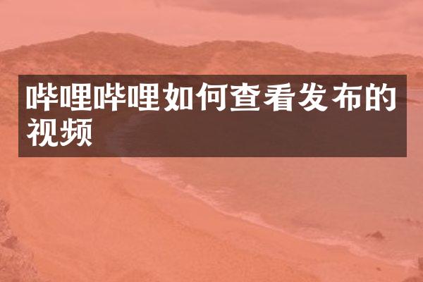 哔哩哔哩如何查看发布的视频