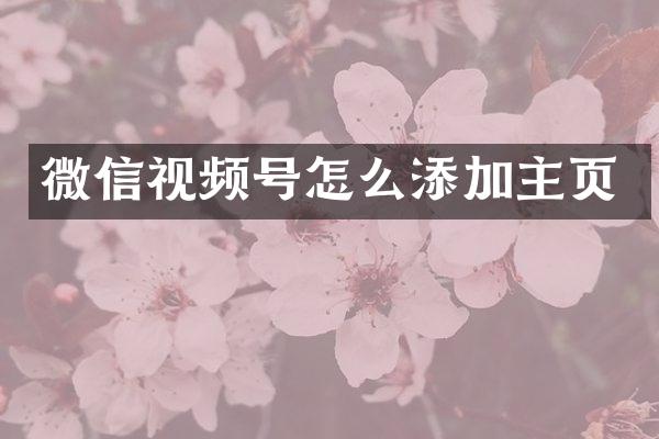 微信视频号怎么添加主页
