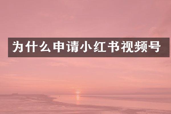 为什么申请小红书视频号