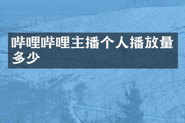 哔哩哔哩主播个人播放量多少