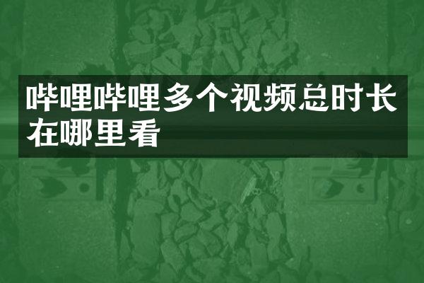 哔哩哔哩多个视频总时长在哪里看
