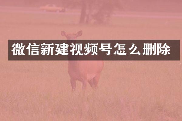 微信新建视频号怎么删除