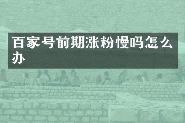 百家号前期涨粉慢吗怎么办