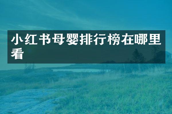 小红书母婴排行榜在哪里看