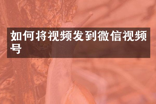 如何将视频发到微信视频号