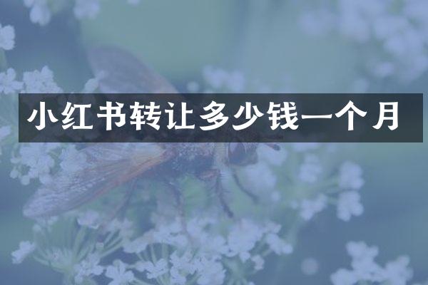 小红书转让多少钱一个月