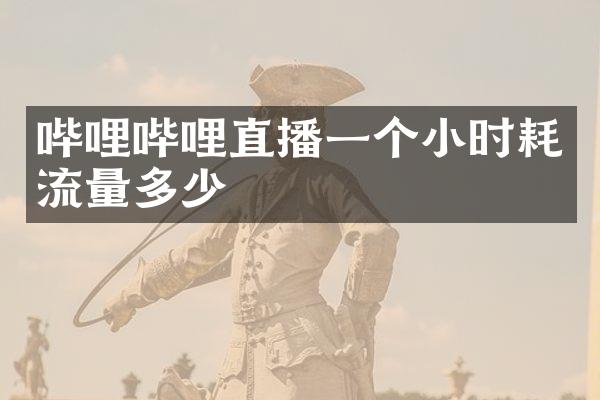 哔哩哔哩直播一个小时耗流量多少