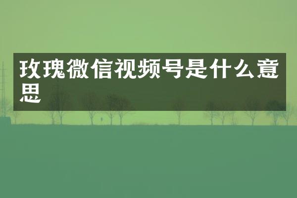 玫瑰微信视频号是什么意思