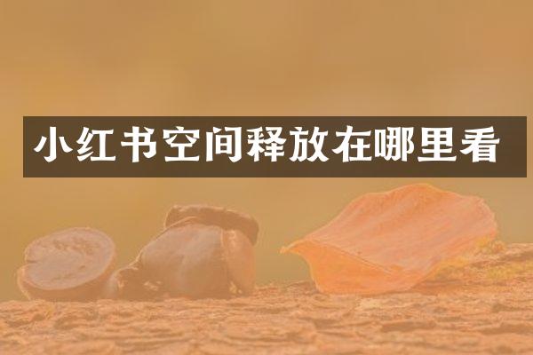 小红书空间释放在哪里看