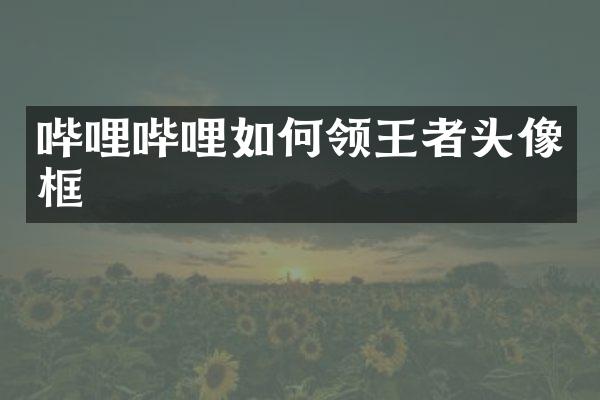 哔哩哔哩如何领王者头像框