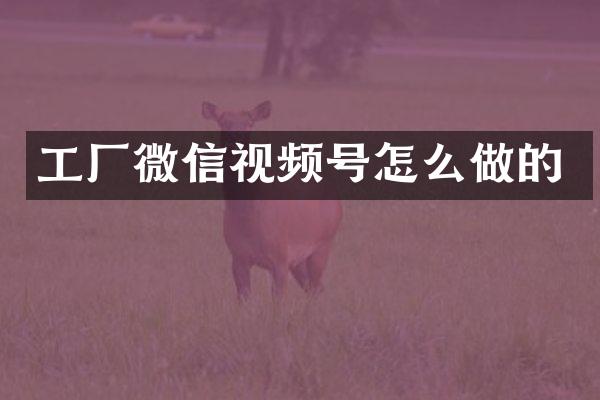 工厂微信视频号怎么做的