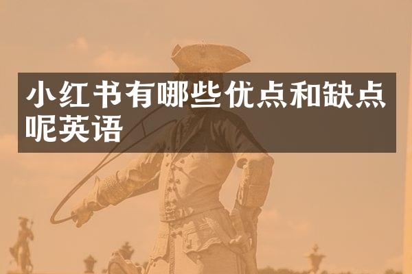 小红书有哪些优点和缺点呢英语